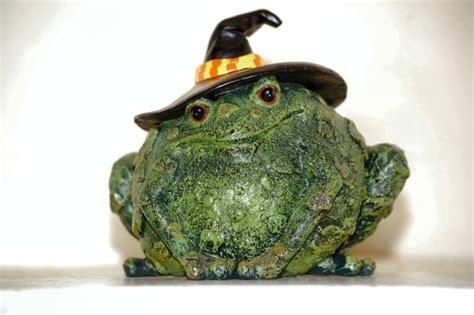Traget frog witch